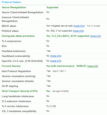 ssllabs_poodle_check_sslspdycom_03.png