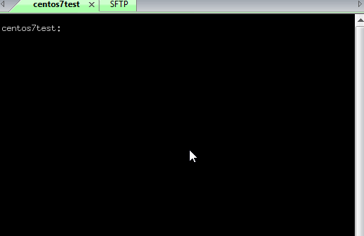 securecrt-sftp.gif