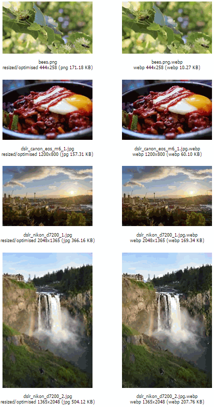 gallery-webp1.png