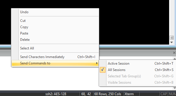 securecrt-send-commands.png