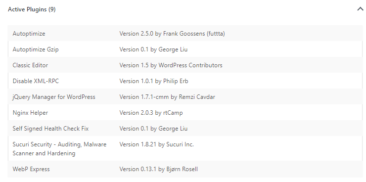 wp-5.2-site-health-info-03.png